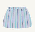 Susanne Skirt -Sycamore Seersucker Stripe