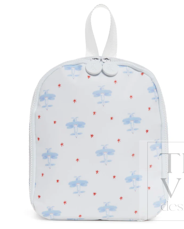 Bring it Lunch bag- David's Airplane